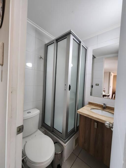 Acogedor Apartamento En Centro De Santiago. 外观 照片