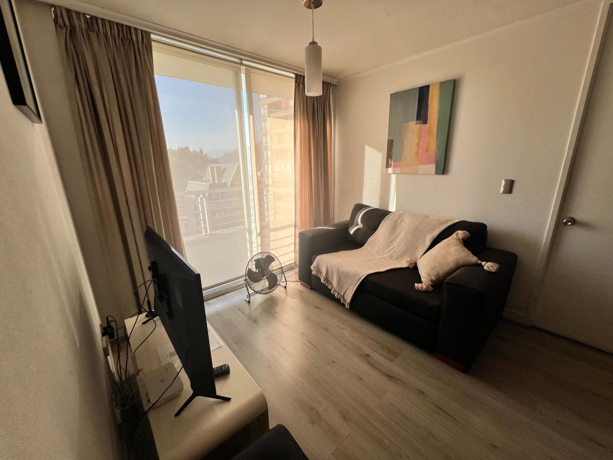 Acogedor Apartamento En Centro De Santiago. 外观 照片